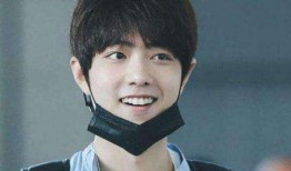 肖战张铭恩最新爆料,揭秘幕后故事与情感纠葛