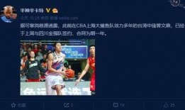 中国最新赛季爆料新闻,中国足球最新爆料揭秘